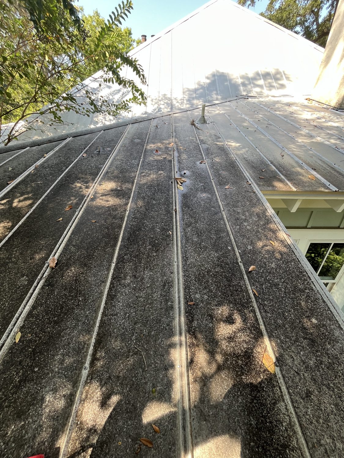 Metal roof caked with black algae and grime before cleaning