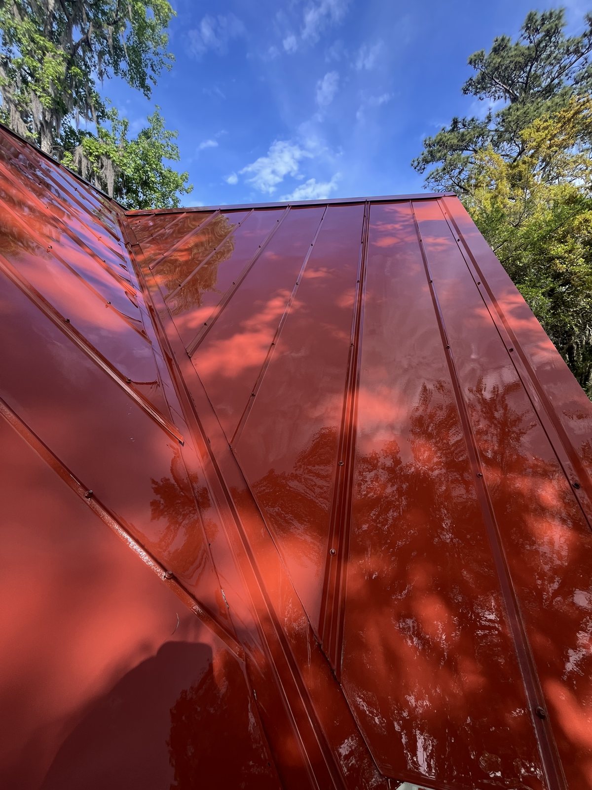 Freshly soft-washed red standing-seam metal roof gleaming beneath Lowcountry live oaks