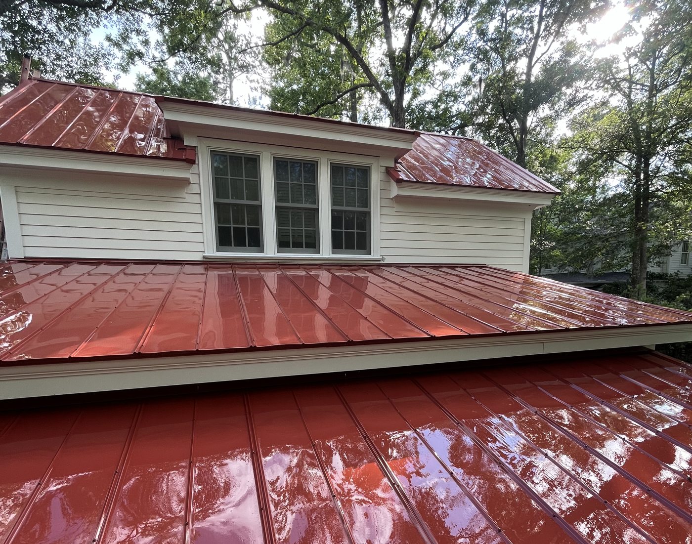 Freshly soft-washed standing-seam metal roof, glossy and reflecting the tree canopy
