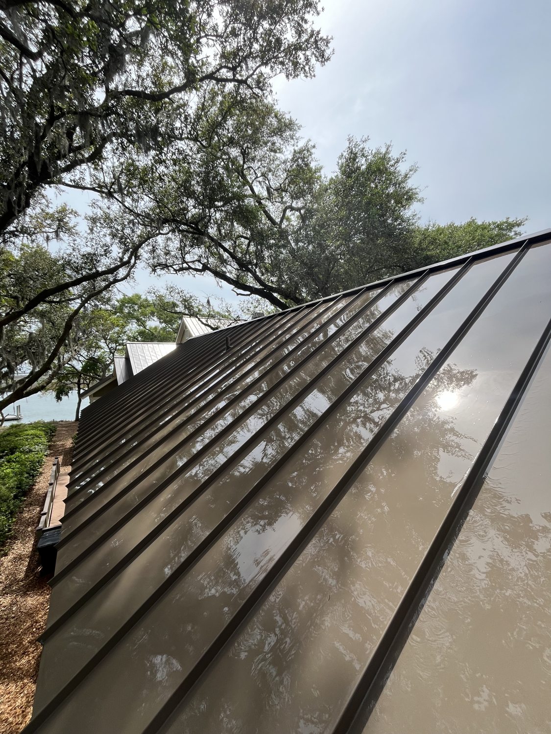Bronze standing-seam metal roof, freshly soft-washed and gleaming beneath moss-draped live oaks